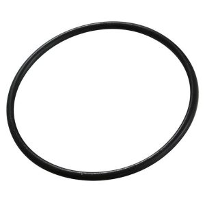 O ring FAG