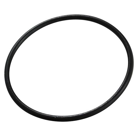 O ring FAG
